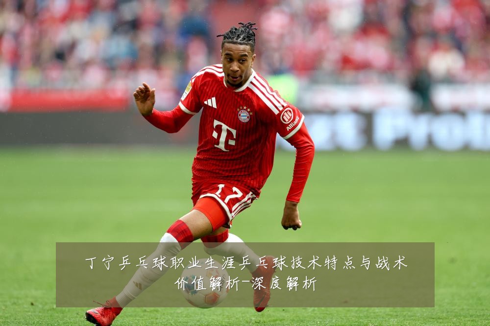 丁宁乒乓球职业生涯乒乓球技术特点与战术价值解析-深度解析