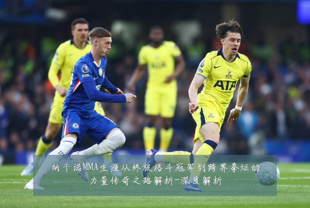 纳干诺MMA生涯从终极格斗冠军到跨界拳坛的力量传奇之路解析-深度解析